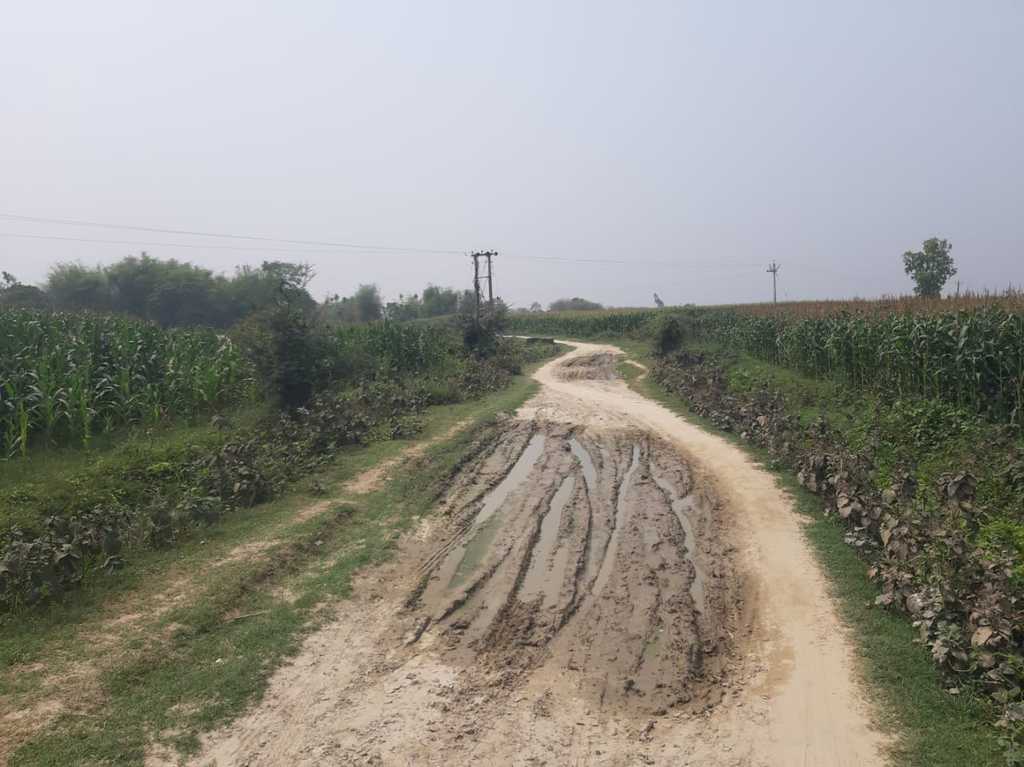 पाकिस्तान टोला